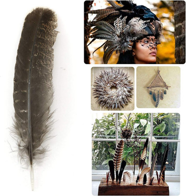 12Pcs Natural Turkey Feather 8'' - 10'' for DIY Crafts Making, Clothes Decorati...