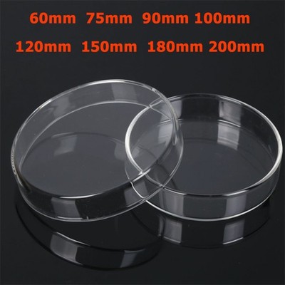 60mm 75mm 90mm 100mm-200mm Glass Petri Dish Borosilicate Glass Base & Lid Cover