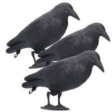 Realistic Crow Decoys: Life-Sized, Black PE, Hunting, Halloween Decor