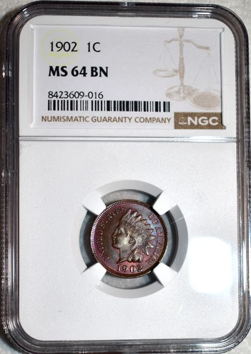 NGC MS-64 BN 1902 Indian Head Cent, Beautifully Toned specimen.