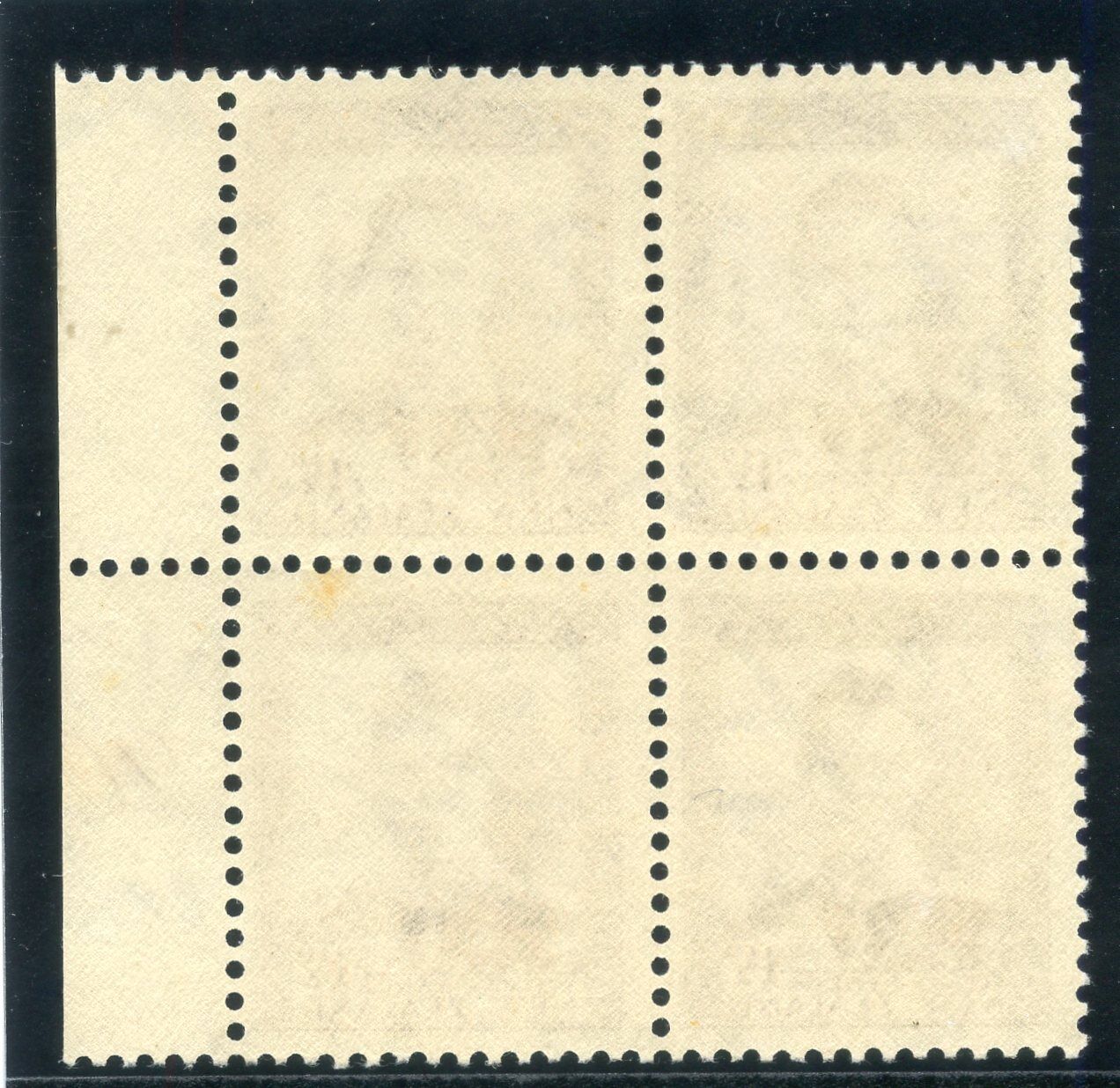 Foto 2 di 2
