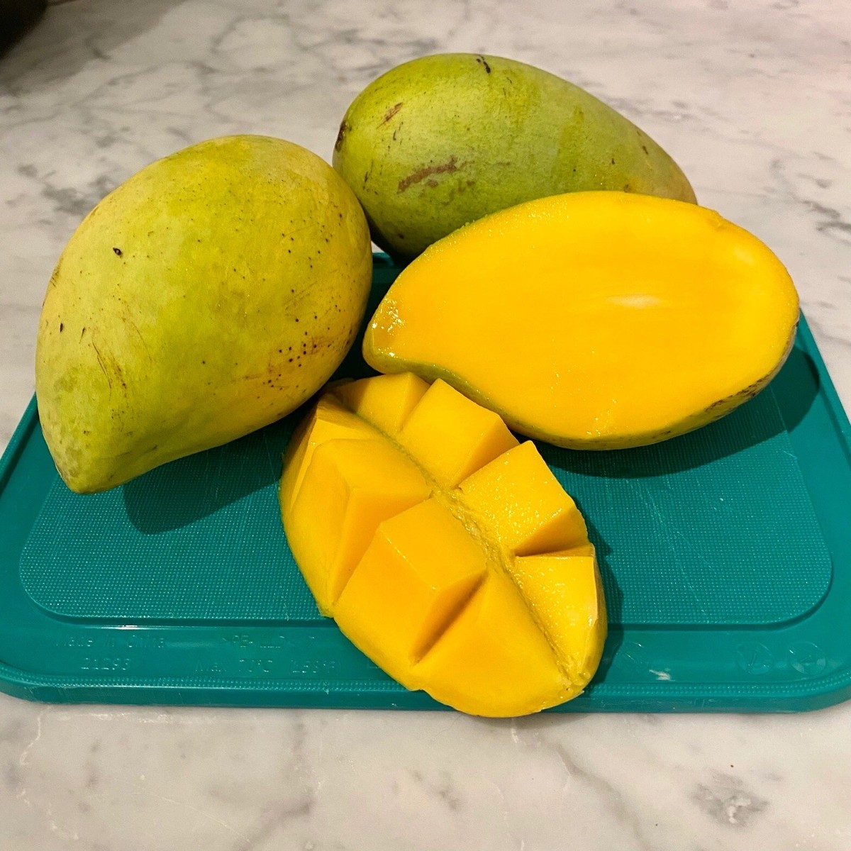 Dwarf NAMDOCMAI Grafted Popular Thai MANGO Tree Big 7Gal Pot