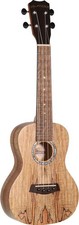Traditional concert ukulele with spalted maple top