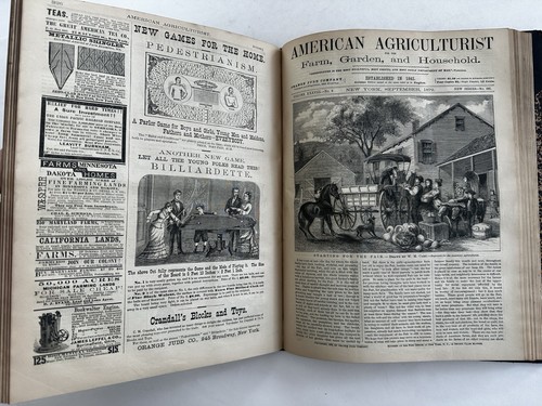 American Agriculturist 1879 bound vol. 12 issues wood engravings toy catalogue - Imagen 20 de 22