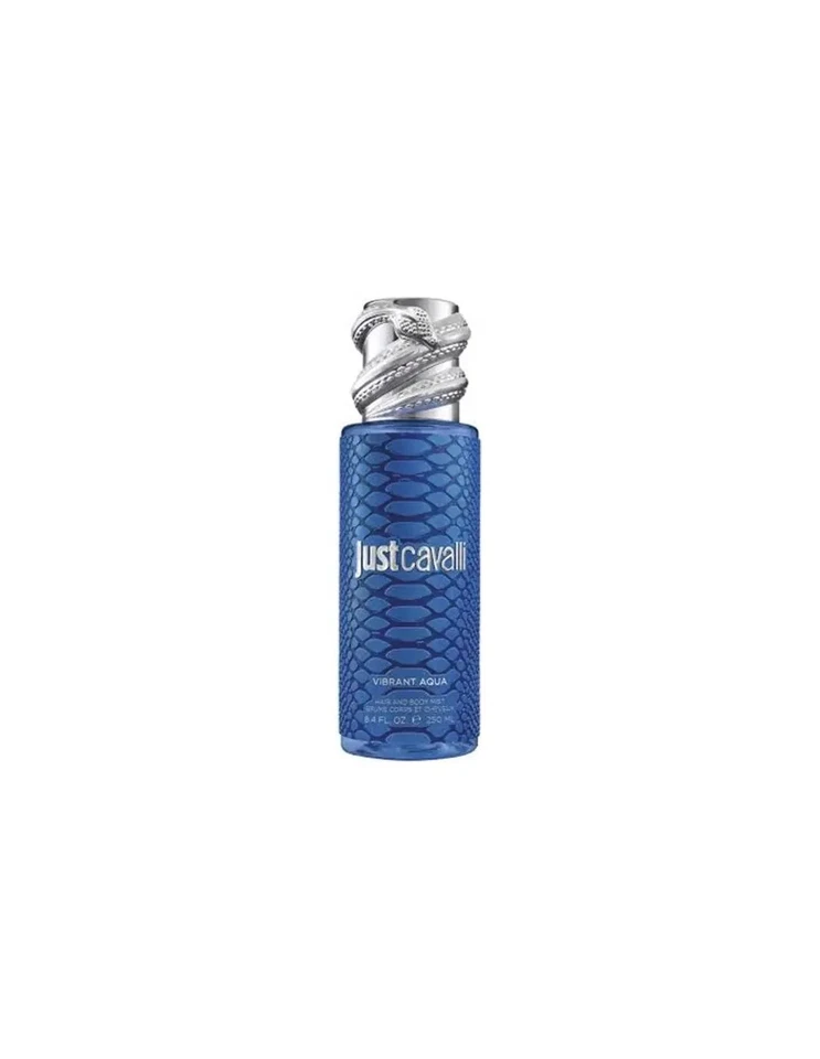 ROBERTO CAVALLI Roberto Cavalli Rc Just Cavalli Mist Blue 250ml - EAN 8052464898 - Bild 1 von 1