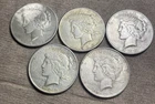 One 1925 P Peace Silver Dollar