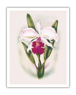 White Cattleya Orchid Hawaii - Vintage Airbrush Art by Ted Mundorff 1947
