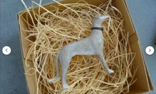 New Dresden Paper Greyhound Dog Christmas Ornament Tree Decoration