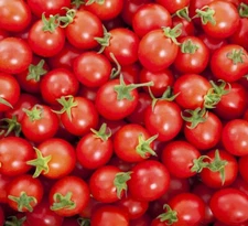 Rio Fuego Tomato Seeds | Heirloom | Non-GMO | Fresh Garden Seeds  