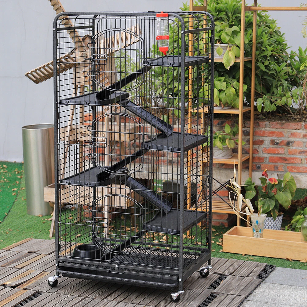 Rat hutch top
