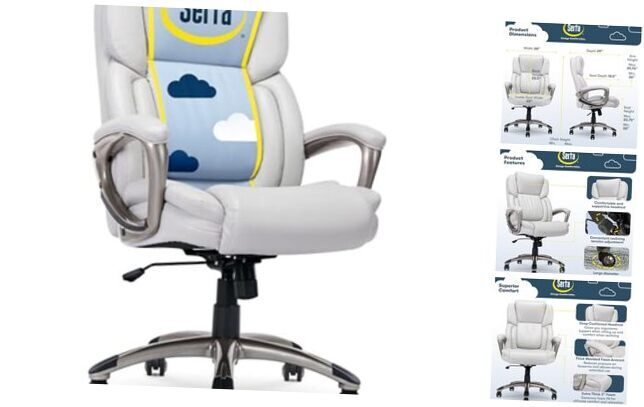 Garret Executive Office Chair, Ergonomic Mid-Back with Lumbar Support, Semi