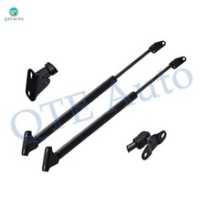 2PC Rear Hatch Lift Supports Liftgate Shocks For 2001-2007 Toyota Highlander