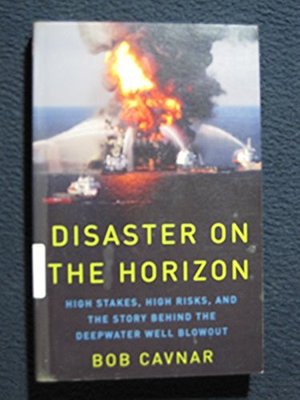 Disaster on the Horizon: High Stakes, High Risks, and the Story Behind the Dee..