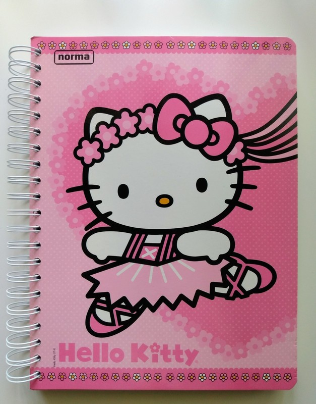 RARE Sanrio Hello Kitty 5 Subject Notebook w/ Stickers & Folder
