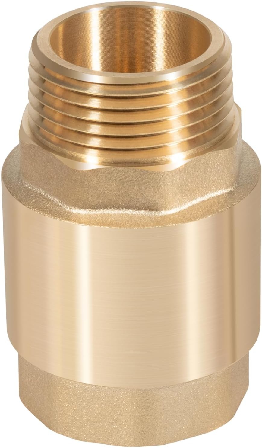 One Way Brass Check Valve 1" NPT Prevent Backflow Water Check Valve SP0465X-100