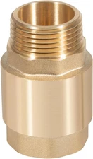 One Way Brass Check Valve 1" NPT Prevent Backflow Water Check Valve SP0465X-100