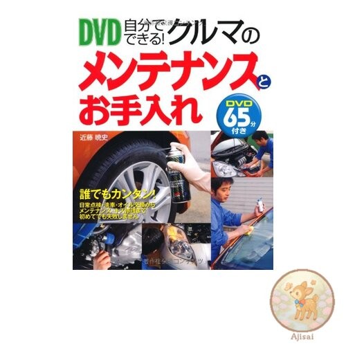 Book used Do it yourself! Car maintenance and care