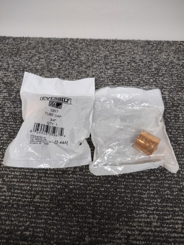 Lot of 2 EVERBILT Copper Tube Caps 3/4"
