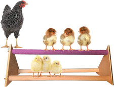 Chicken Perch - Wooden Chicken Swing for Hens  Large Birds