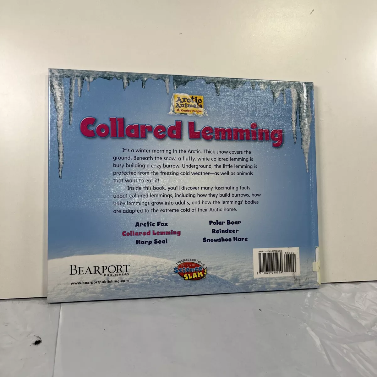 Collared Lemming - Bearport Publishing