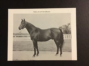 CITATION photo Horse Racing  1948 TRIPLE CROWN 