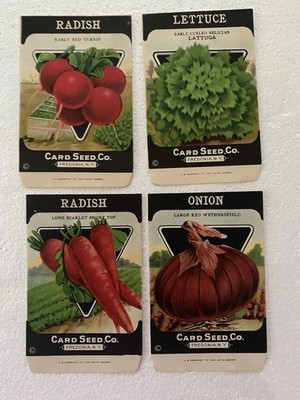 4 - 1920 s Card Seed Co Seed Packet New Old Stock Gênesee Litho