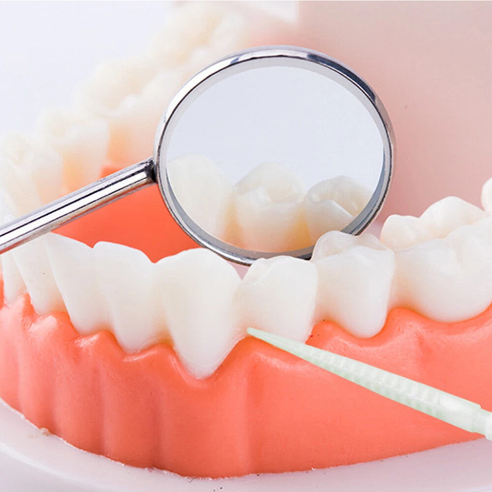 Paquete de 1060 palillos de dientes de plástico higiene dental cepillo de hilo dental palillos de dientes cuidado bucal = Foto 4 de 4