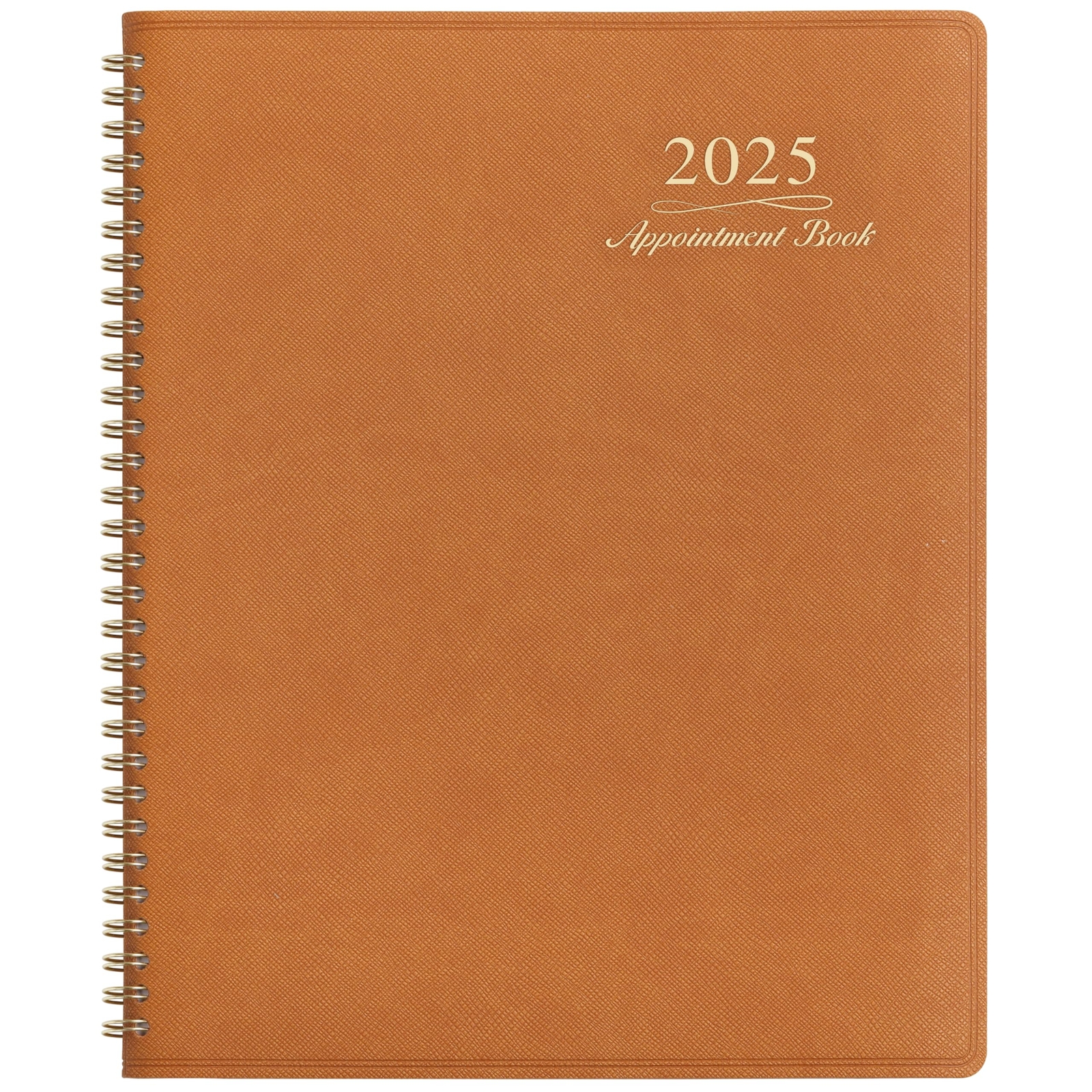 2025 Weekly Appointment Book - Appointment Book 2025 Jan 2025 - Dec 2025 Dail...