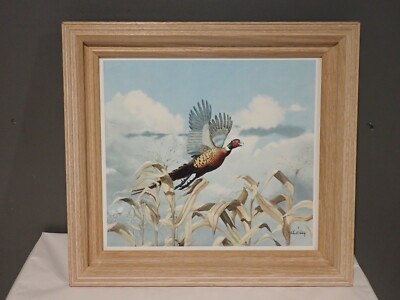 Vintage Richard Bishop 3 D 3 Dimensional Framed Pheasant Picture 