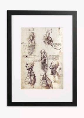 Leonardo Da Vinci-310gsm Fine Art Giclee Print- Multiple Sizes & Framing Options