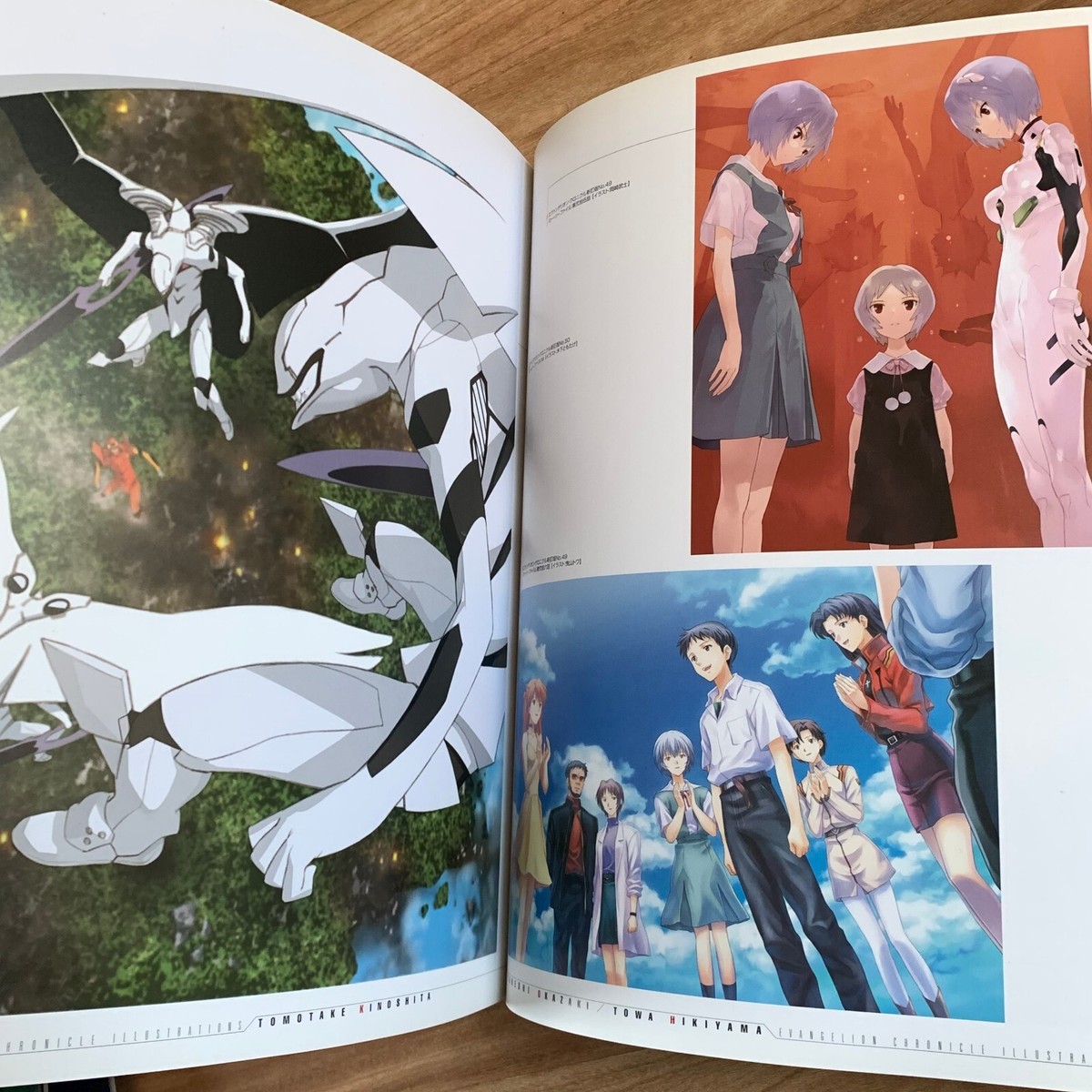 EVA Evangelion Chronicle Illustrations New Edit Illustration Book