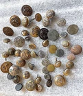 Collection of Civil War Era, Civilian & Foreign Military Buttons