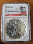 2017 Silver Eagle NGC MS70 First Release 225th Anniversary US Mint