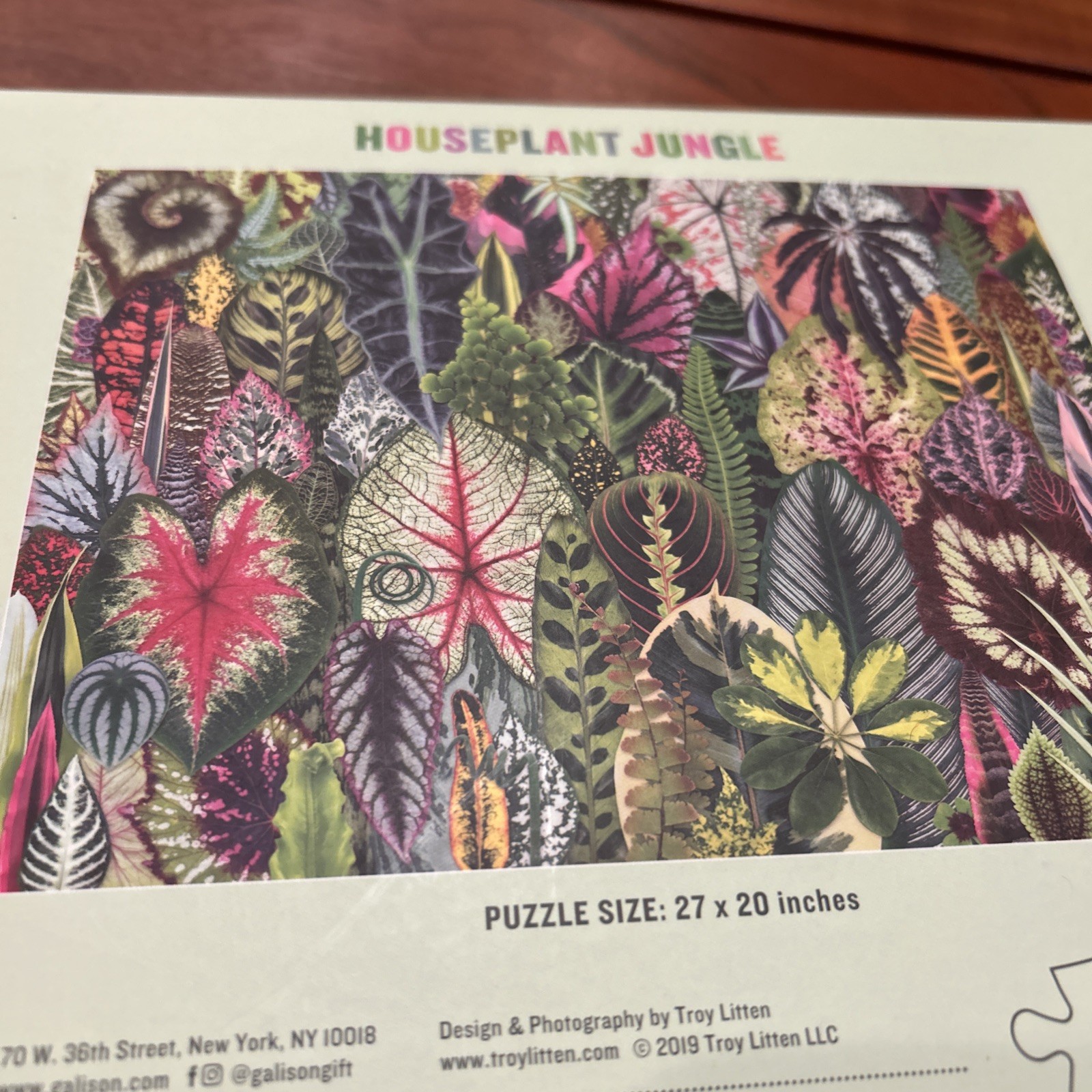 NEW Houseplant Jungle 1000 Piece Puzzle - Galison 2019