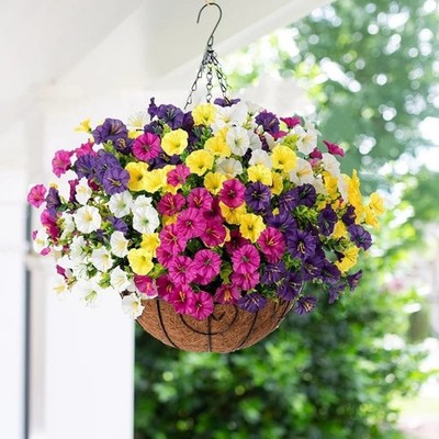 Artificial Silk Plastic Morning Glory Eucalyptus for Dining Room Decor