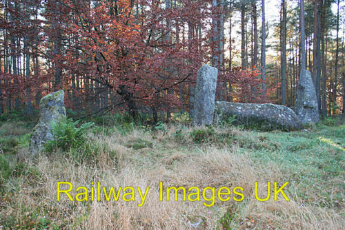 Foto 12x8 (A4) Cothiemuir Holz Liegesteinkreis (12) (heidnischer Druide keltisch) - Bild 1 von 1