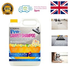 Powerful Upholstery & Carpet Cleaning Solution 5L - Citrus Splash Scent 5.20 per litre