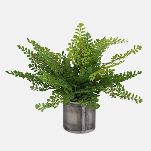 Uttermost Maidenhair Fern In Oxidized Container, Metal/Gold - 60237 - Picture 1 of 1