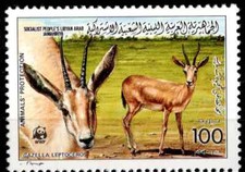 World Wildlife Fund (WWF) Postage Stamps for sale | eBay