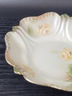 2 Porcelain Plates RS Prussia Vtg Floral Germany Reinhold Schlegelmilch Scallop — photo 5