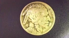 1916 P Buffalo Nickel