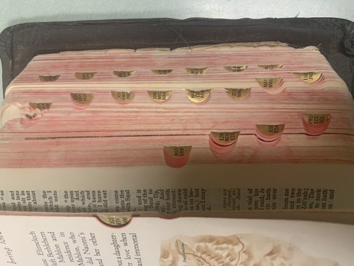Holy Bible, Teachers’ Edition, Indexed, 1955 Spencer Press, Morocco Leather - Imagen 6 de 14