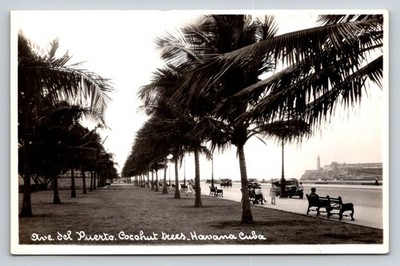 Vintage RPPC Havana Cuba Ave del Puerto Coconut Trees Cars Lighthouse Postcard