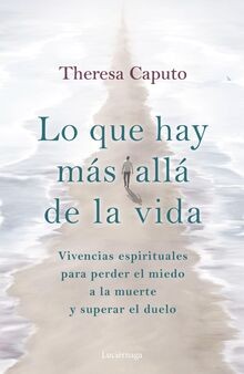 Lo que hay más allá de la vida (ENIGMAS Y CONSPIRAC... | Buch | Zustand sehr gut