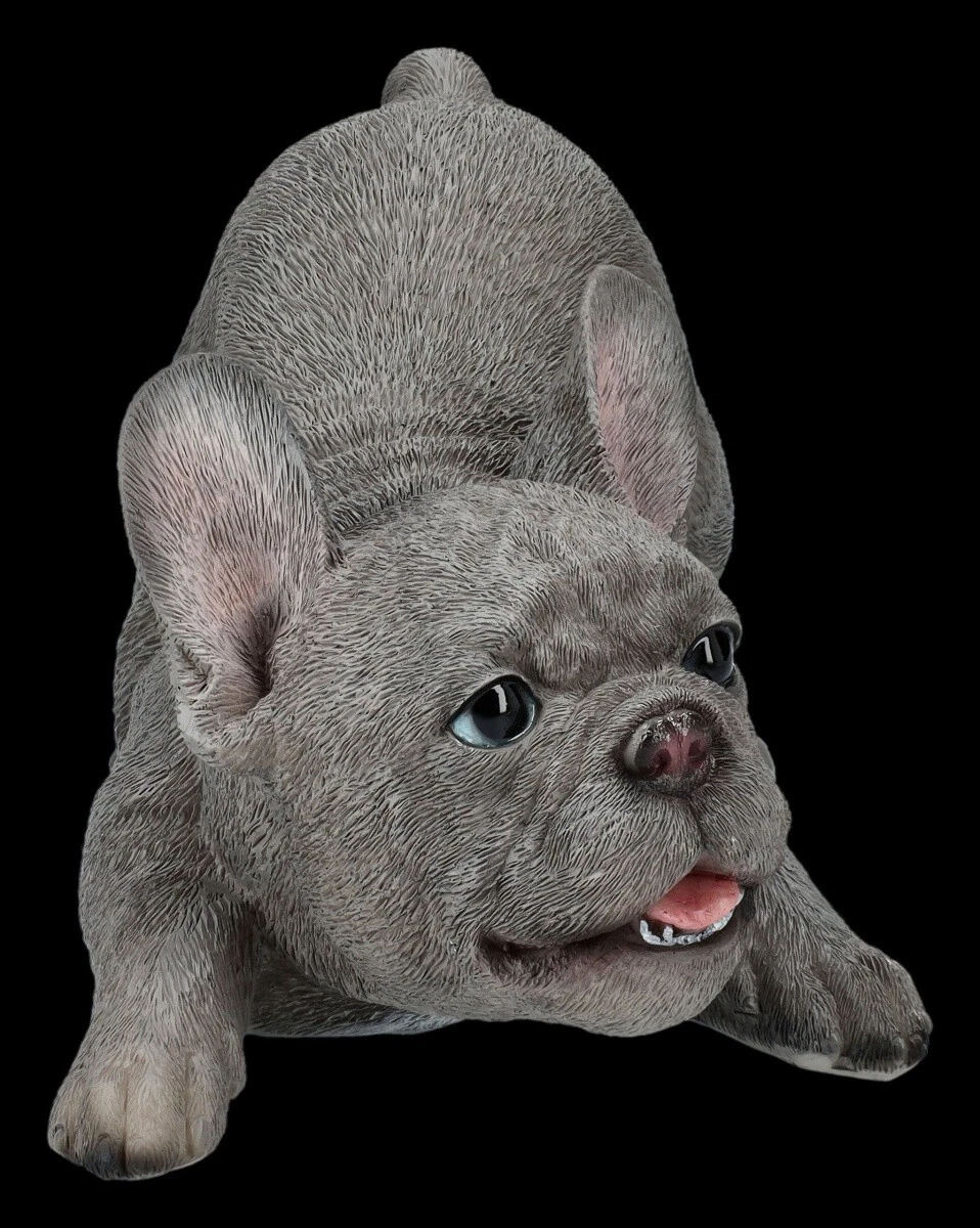 Französische Bulldogge Figur - Welpe will spielen - HotAnt Gartenfigur Deko H 12