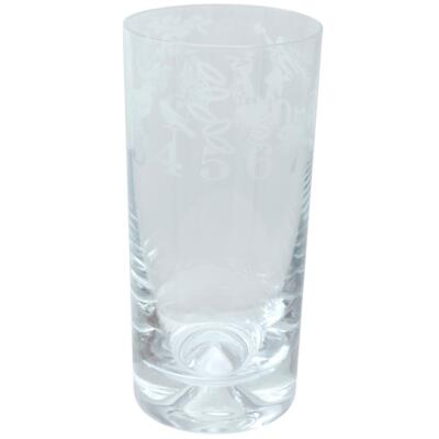 Christmas Highball Glass 12 Days Xmas Festive Sandblast Drink Tumbler Gift Animo