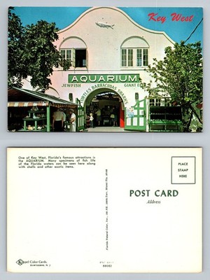 Key West, FL-Florida, Famous Aquarium Shell Shop Entrance Vintage Postcard