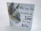 Bild 6 von 11