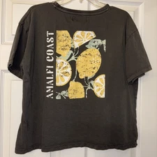C&C California Sunwashed The Toni Tee Boxy Cropped Crew Graphic T-Shirt Womens L