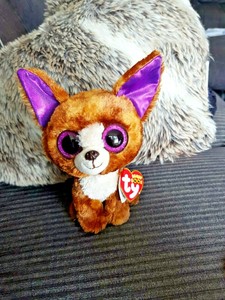 ty beanie boo dexter